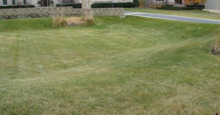 Image of Dry Pond Grassy Area