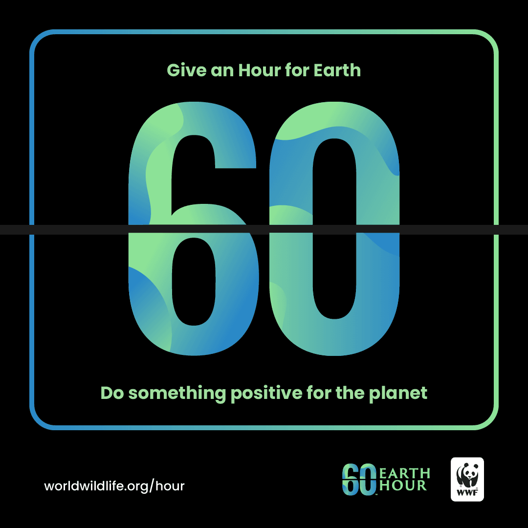 Earth Hour picture