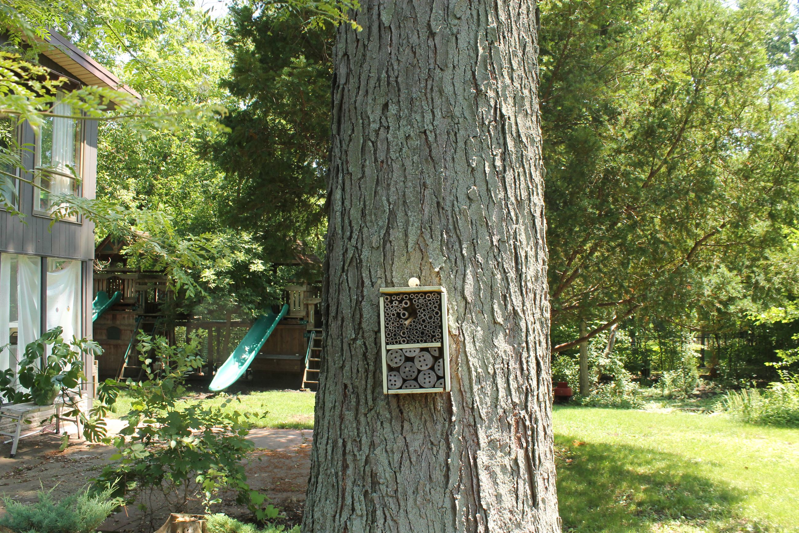 10- 1655 Sunset Ridge